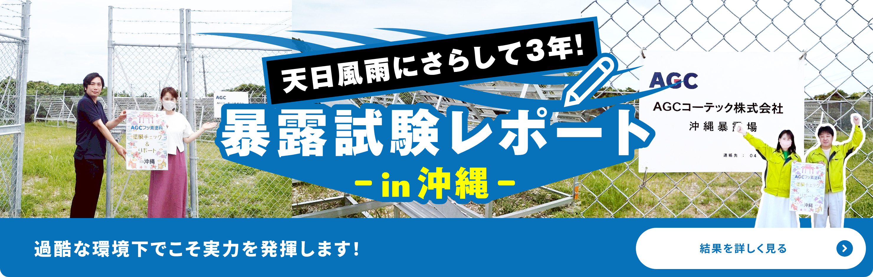 暴露試験レポート　詳しく見る