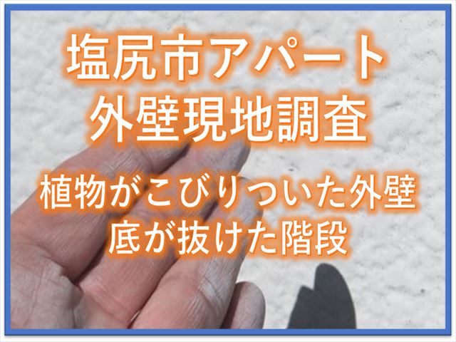 塩尻市アパート外壁現地調査｜植物がこびりついた外壁｜底が抜けた階段
