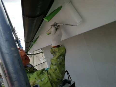 塗装最適シーズン