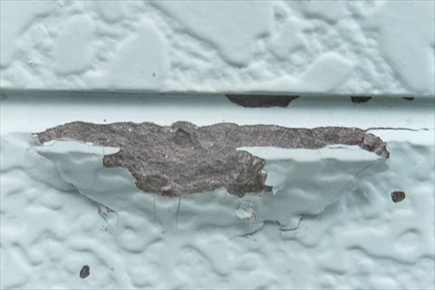 窯業系サイディング直貼り