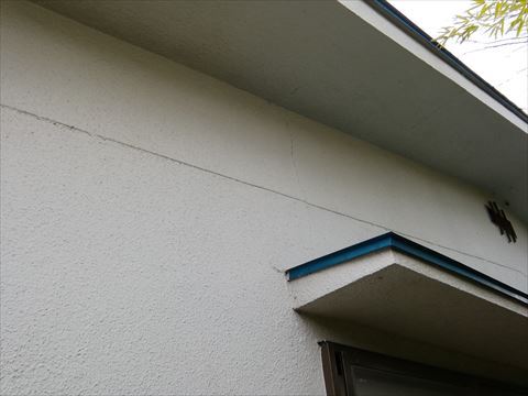 松本市空き家点検