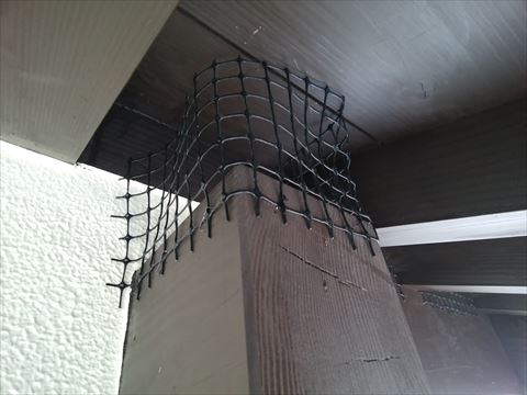 池田町鳥よけネット取り付け