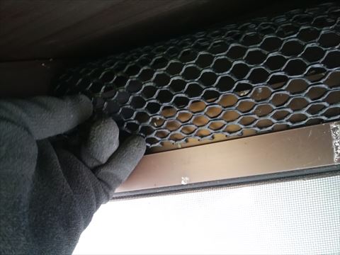 池田町鳥よけネット取り付け