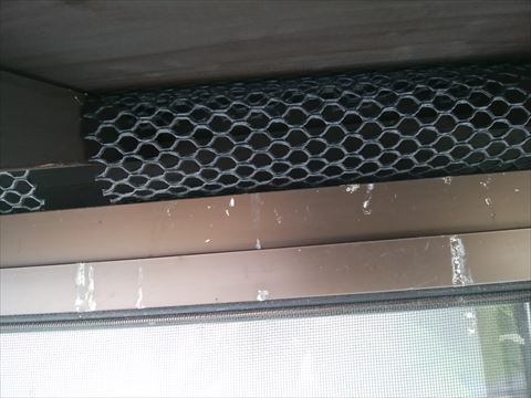 池田町鳥よけネット取り付け