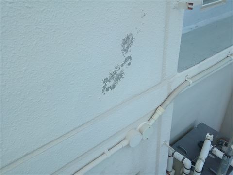 パルコン外壁塗装　洗浄