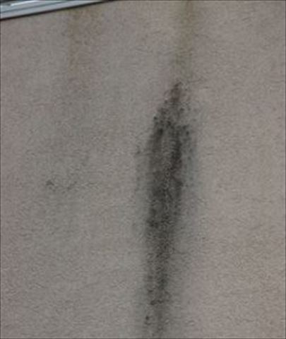 諏訪市外壁現地調査