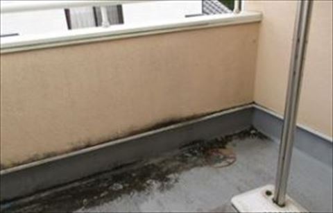 諏訪市外壁現地調査