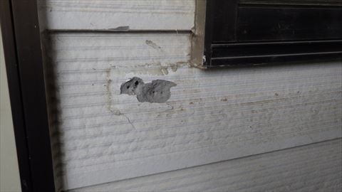 安曇野市窯業系サイディング現地調査