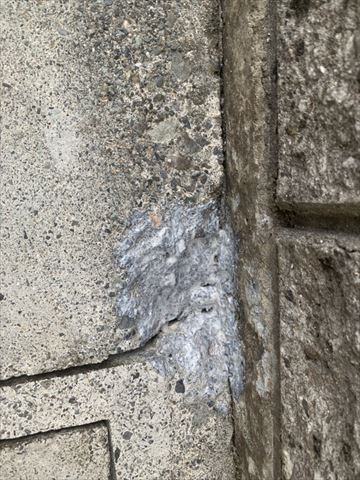 諏訪市犬走り補修塗装