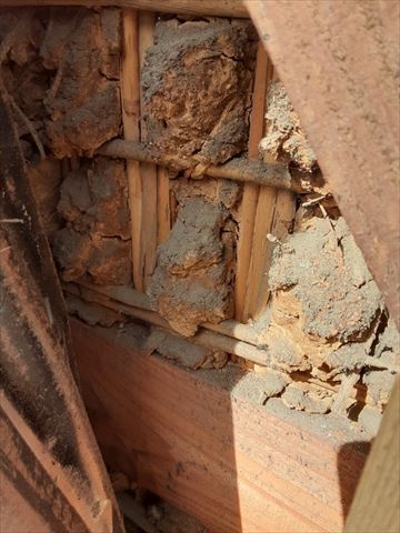 諏訪市外壁工事