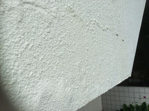 諏訪市外壁現地調査