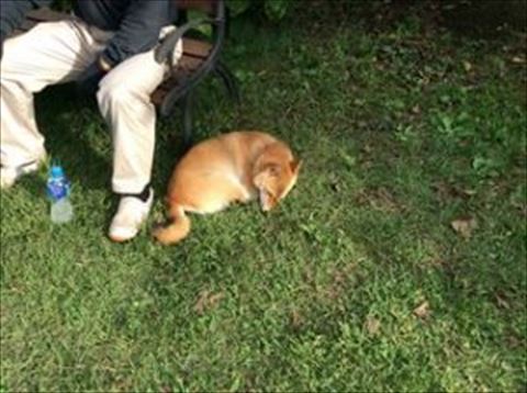 茅野市金属サイディングカバー工法