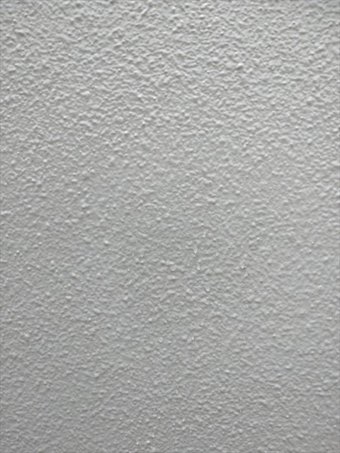 【ルミステージ沖縄現地ルポ】沖縄国際大学