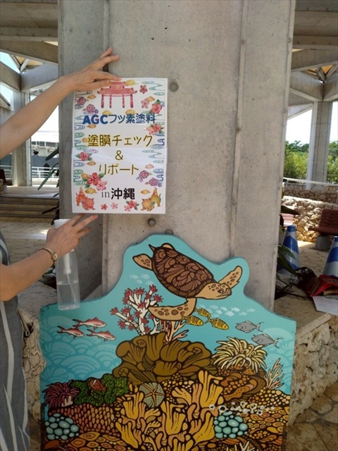 【ルミステージ沖縄現地ルポ】美ら海