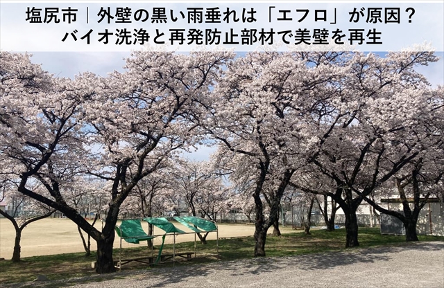 塩尻市｜外壁の黒い雨垂れは「エフロ」が原因？バイオ洗浄と再発防止部材で美壁を再生