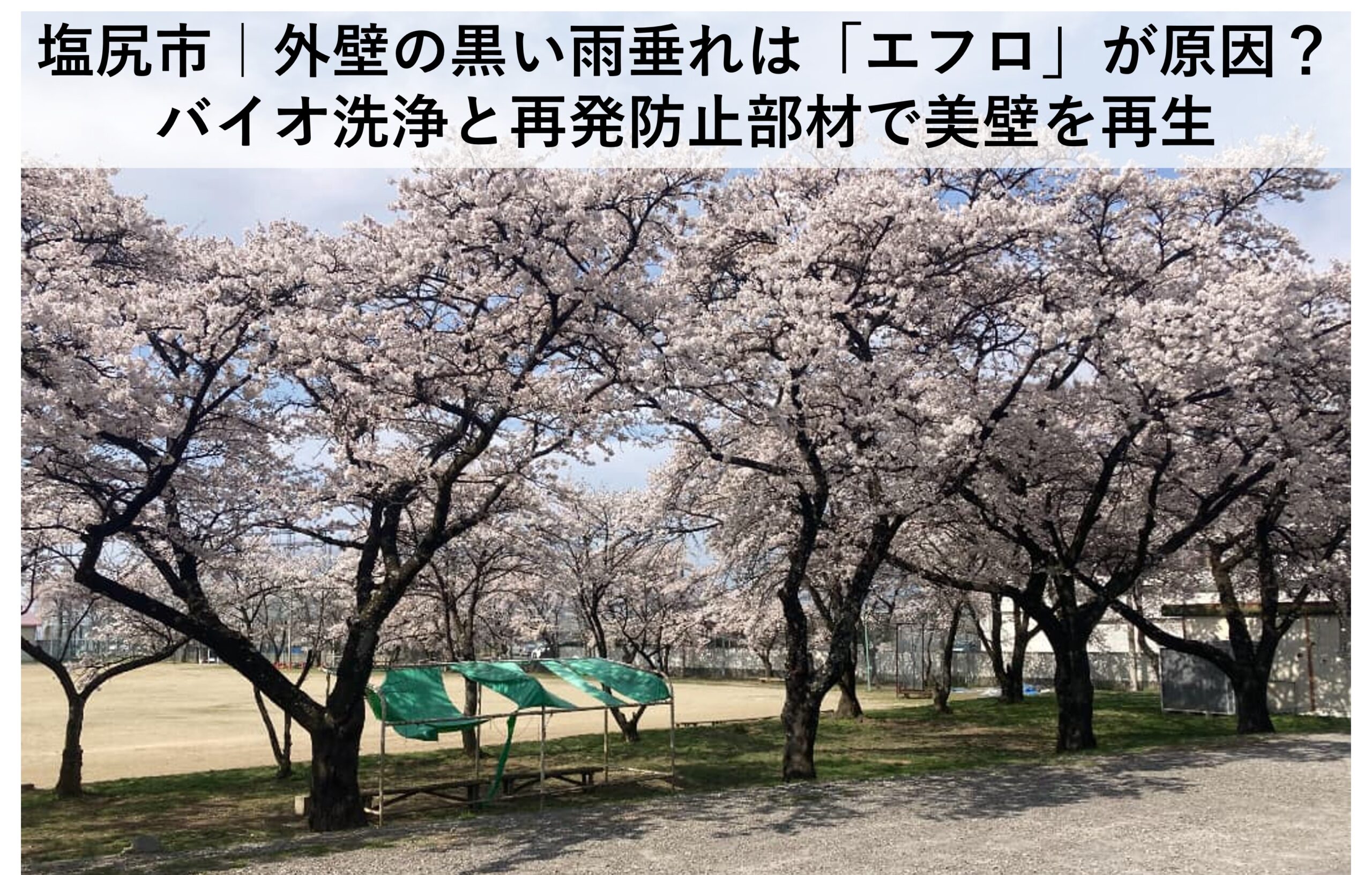 塩尻市｜築20年モルタル外壁の黒い雨垂れは「エフロ」が原因？バイオ洗浄と再発防止部材で美壁を再生